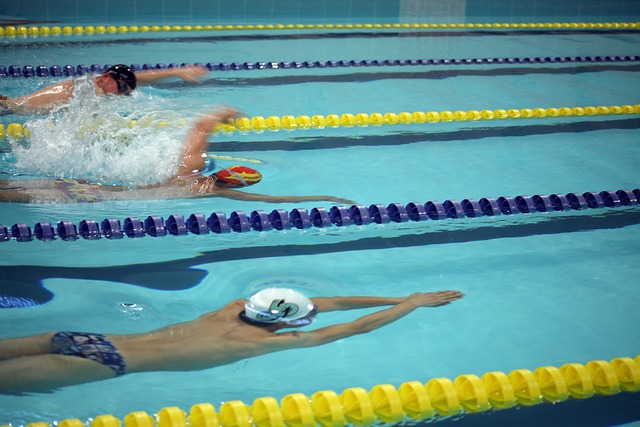 显了葡萄牙 显了葡萄牙