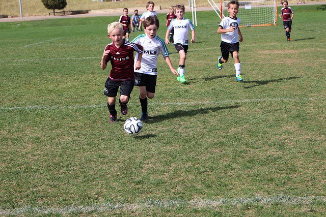 的驱动力 的驱动力