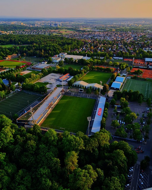 對於齊達內 對於齊達內