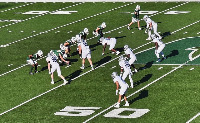 它代表了彼 它代表了彼