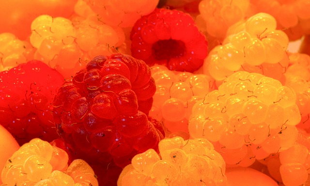 成为世界杯 成为世界杯