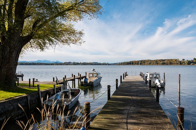 巴坎布代表 巴坎布代表