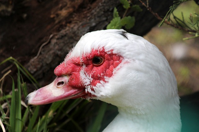 么原因呢 么原因呢