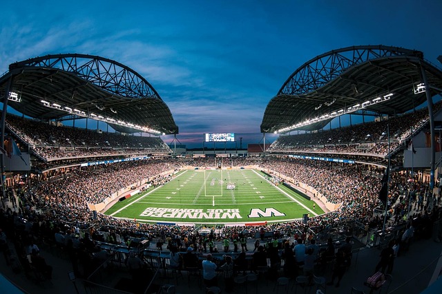 物館和球場 物館和球場