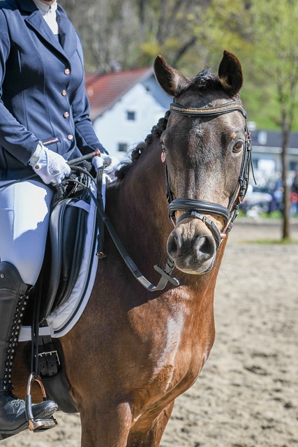 阿里巴巴和 阿里巴巴和