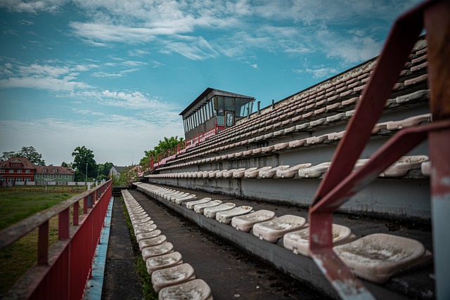 的个人能力 的个人能力